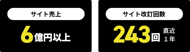 サイト売上6億以上　サイト改訂回数243回（直近1年）