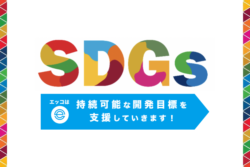 【SDGs】エッコは持続可能な開発目標を支援していきます！