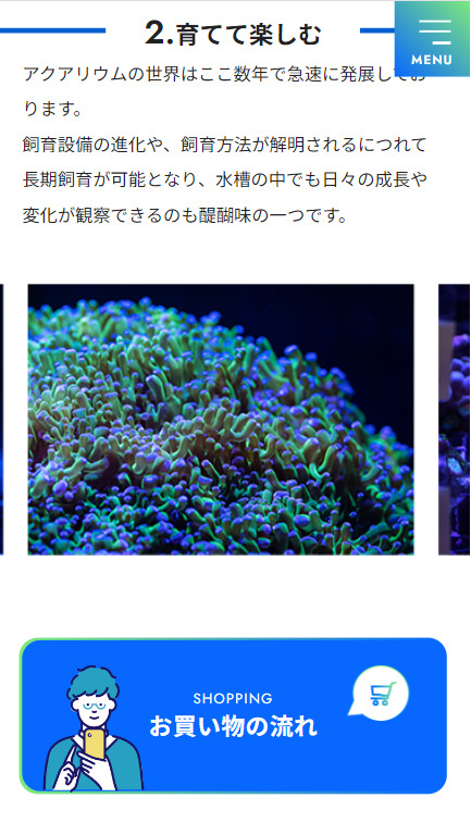 SP表示のスクリーンショットイメージ